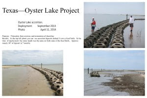 Texas Oyster Lake 2013